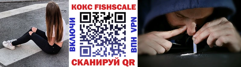Кокаин Fish Scale  Купить где  Саяногорск 