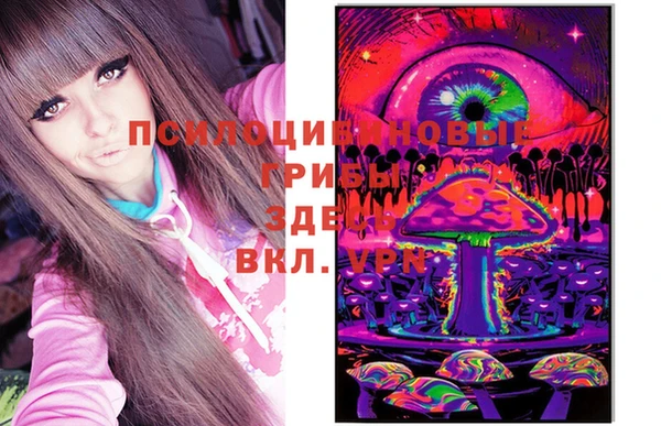 меф Корсаков